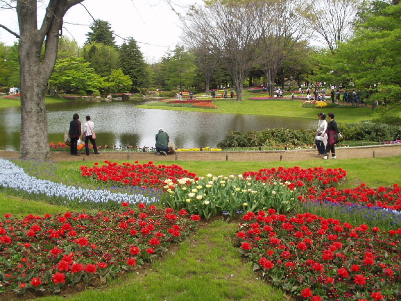 img0061.jpg