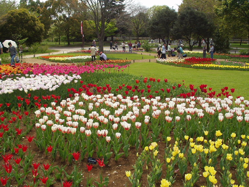 img0062.jpg