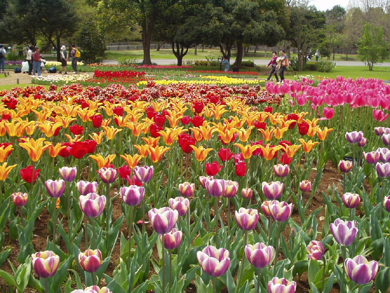 img0063.jpg