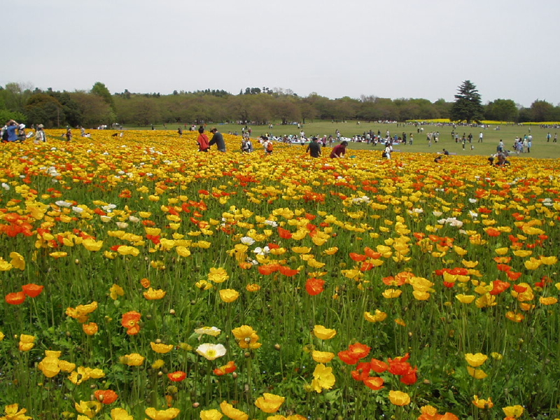 img0064.jpg