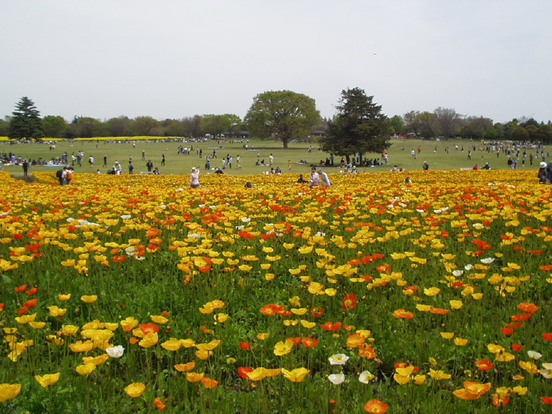 img0065.jpg