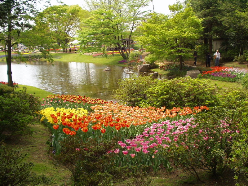 img0068.jpg