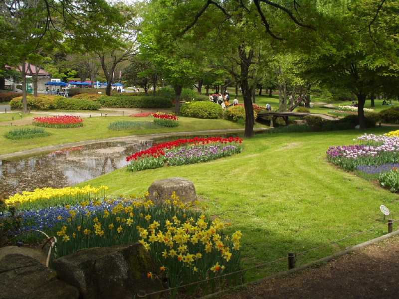 img0069.jpg