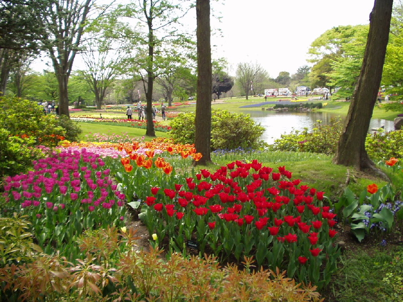 img0071.jpg
