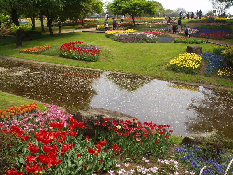 img0072.jpg
