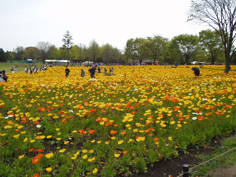 img0075.jpg