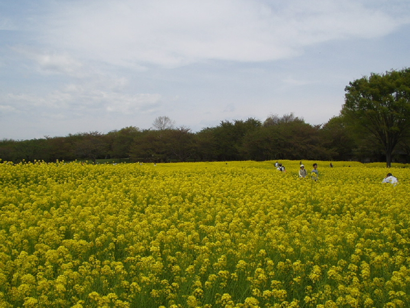 img0076.jpg