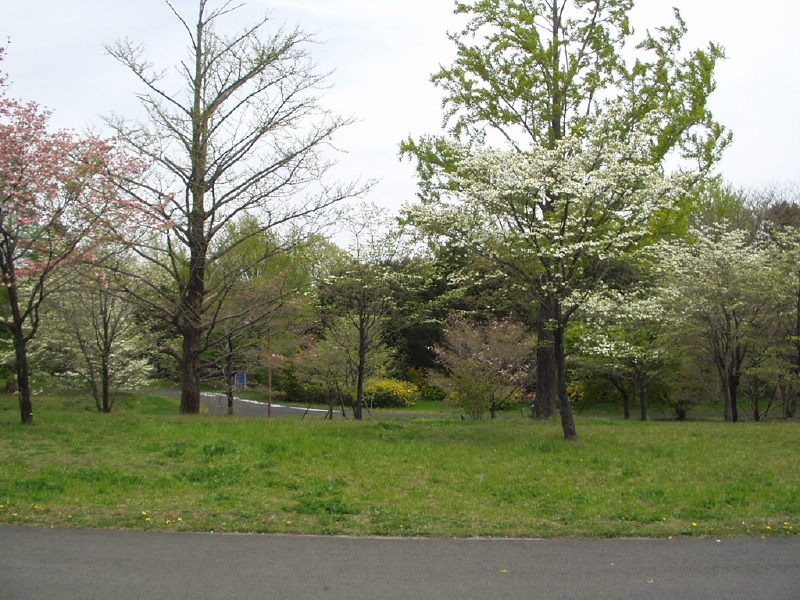 img0077.jpg