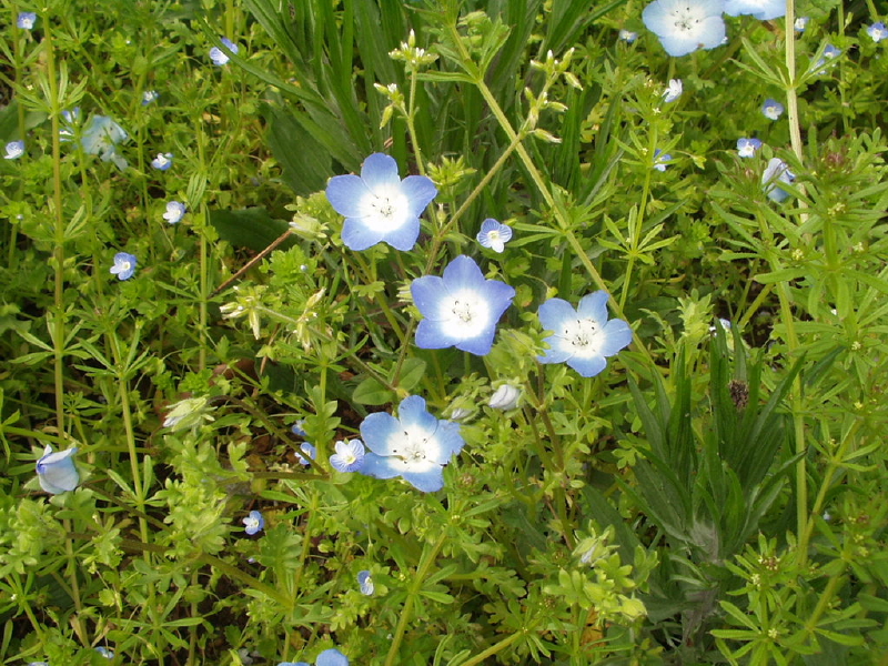 img0078.jpg