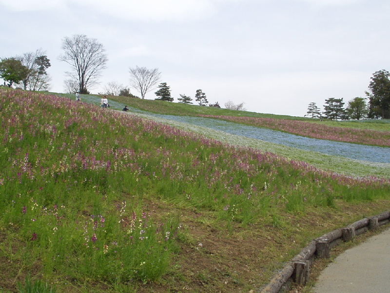 img0079.jpg