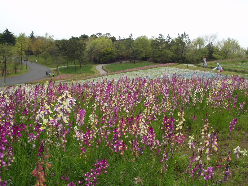 img0081.jpg