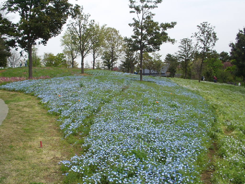 img0082.jpg