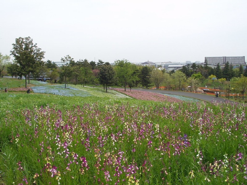 img0083.jpg