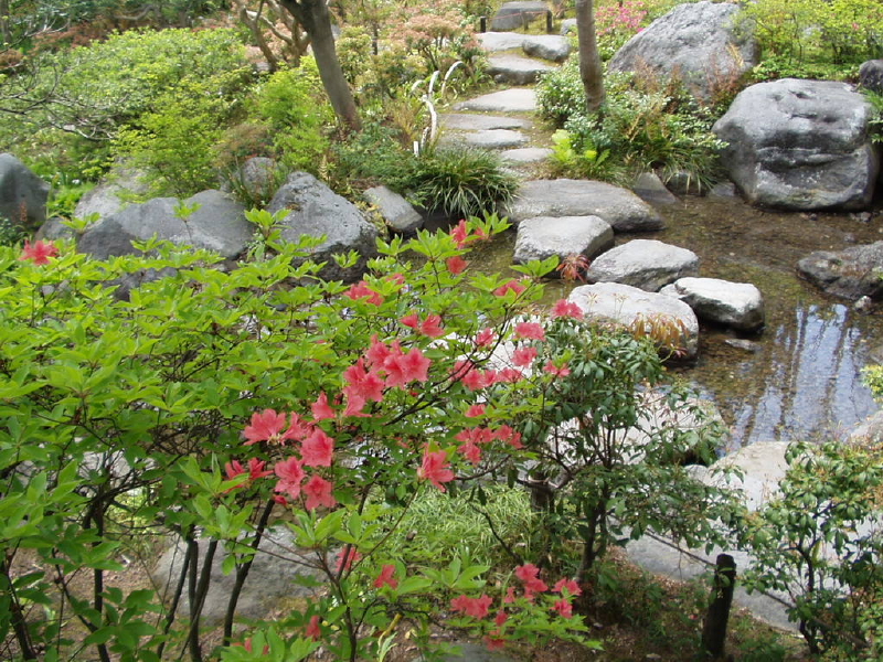 img0086.jpg