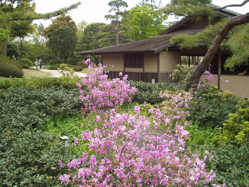 img0088.jpg