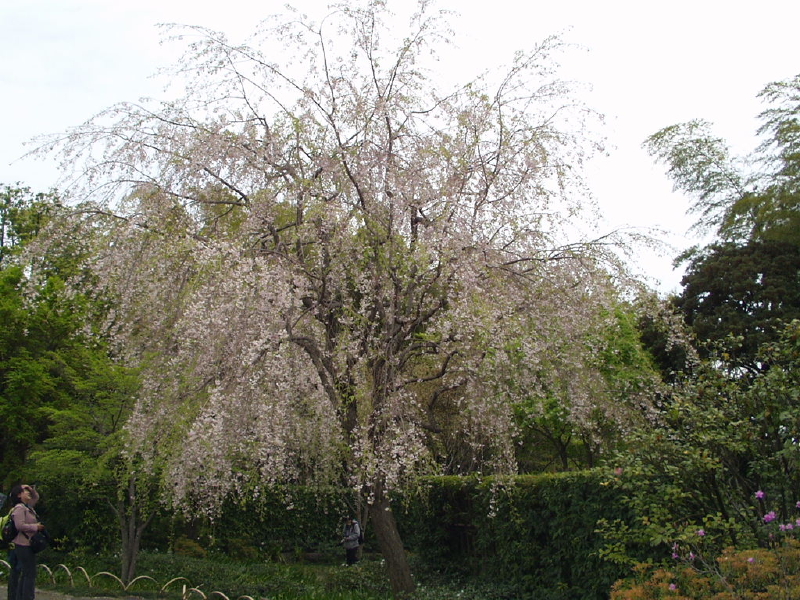 img0089.jpg
