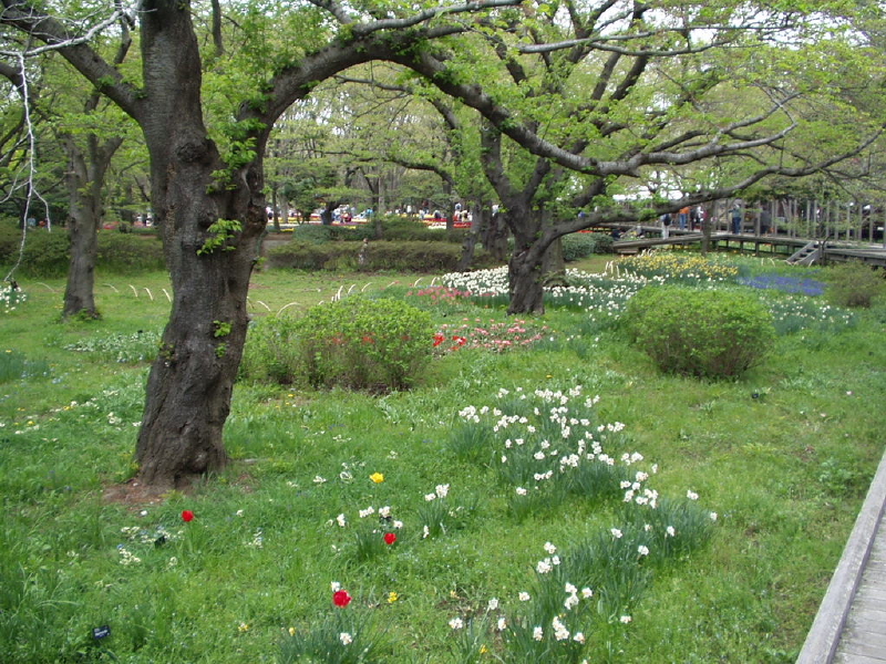 img0092.jpg