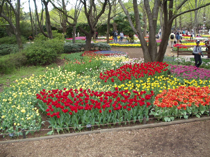 img0094.jpg