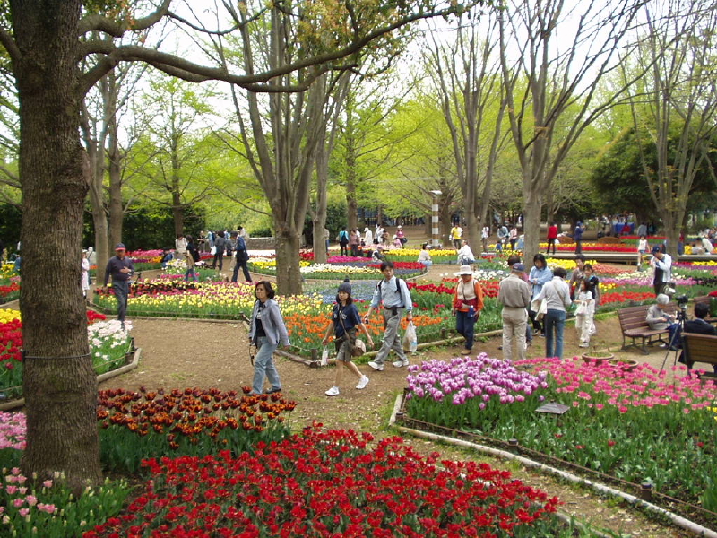 img0095.jpg