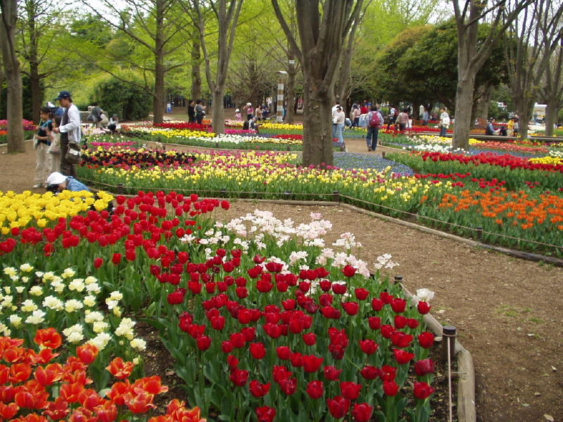 img0097.jpg