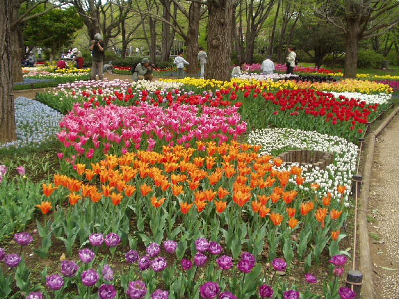 img0110.jpg