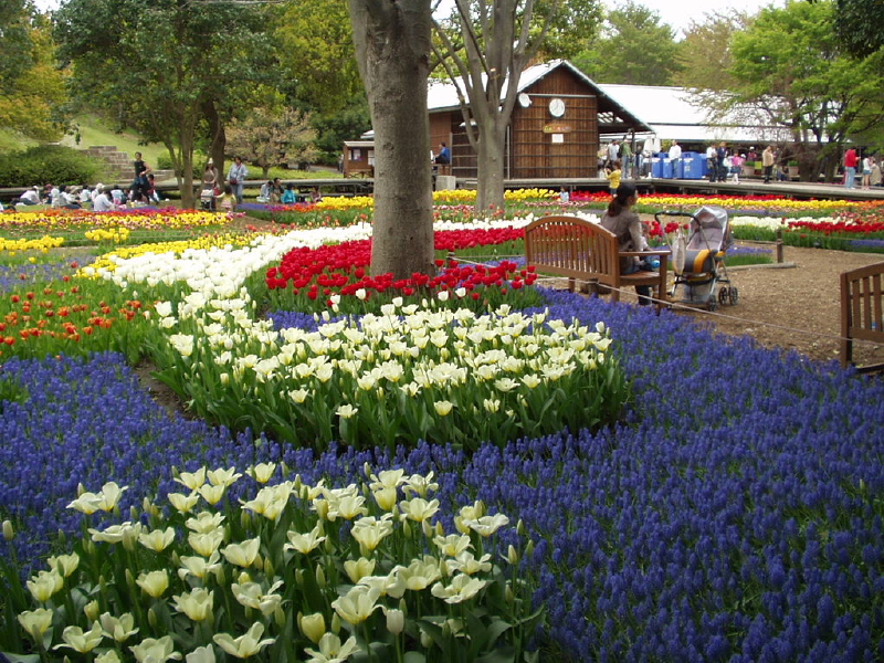 img0112.jpg