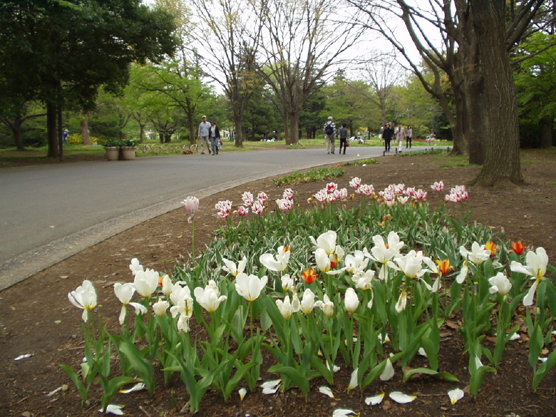 img0113.jpg