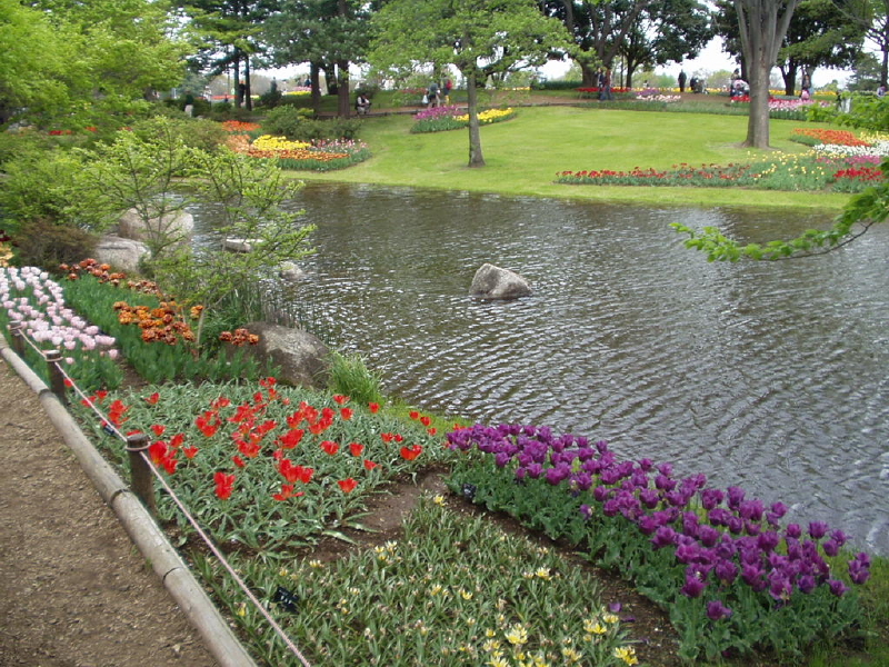 img0117.jpg