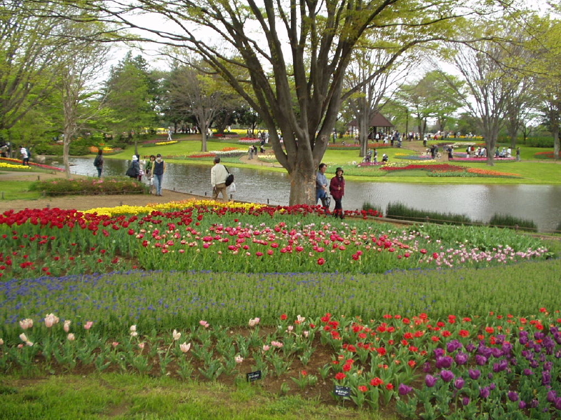 img0122.jpg