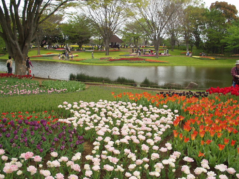 img0123.jpg