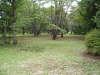 img0004.jpg