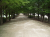 img0006.jpg