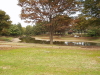 img0008.jpg
