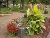 img0009.jpg