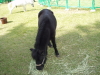 img0014.jpg