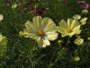 img0018.jpg