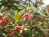 img0019.jpg