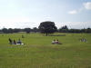 img0021.jpg