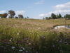 img0022.jpg