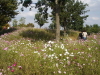 img0024.jpg