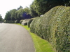 img0027.jpg