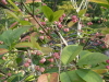 img0033.jpg