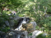 img0035.jpg