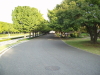 img0040.jpg