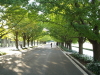 img0043.jpg