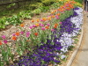 img0047.jpg