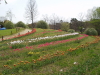 img0051.jpg