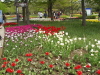 img0052.jpg