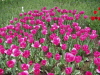 img0053.jpg