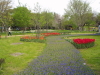 img0056.jpg